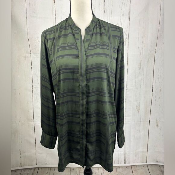 Ann Taylor Tops - Ann Taylor Chic Green Striped Tunic Blouse with Hidden Button Placket